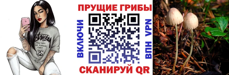 blacksprut как зайти  дарнет шоп  Лермонтов  Галлюциногенные грибы прущие грибы 